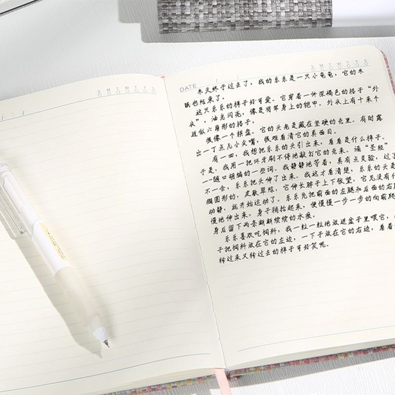 دفتر ملاحظات A5 بغلاف صلب يشبه - مراجعة Notebook Dotted A5 وسعره